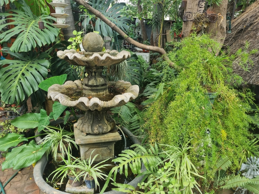 Commercial Property for Sale in Bodorp North West